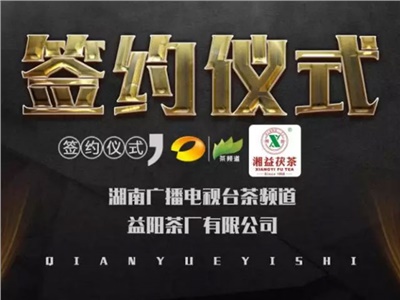 湘益茯，美茗揚 丨湘益茯茶與茶頻道達成長期戰(zhàn)略合作