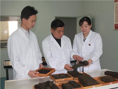 傳承茯茶非遺技藝、開(kāi)拓創(chuàng)新引領(lǐng)行業(yè)發(fā)展