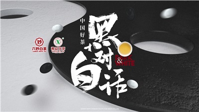 首屆黑白對話高峰論壇圓滿落幕！湘益茯茶備受關注！