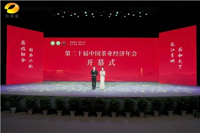 【聚焦第二十屆中國茶業(yè)經(jīng)濟年會】益陽茶廠榮獲“民族團結互助企業(yè)”、“2024年度茶業(yè)重點企業(yè)”榮譽稱號
